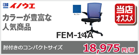 イノウエFEM-14A