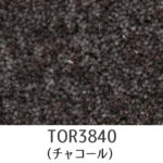 Tori-3837-3840