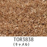 Tori-3837-3840