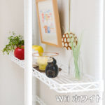halfshelf-BW