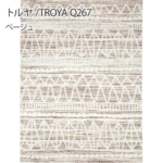 Dpass-troya-160