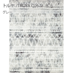 Dpass-troya-160