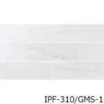 IPF-310_GMS-1