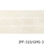 IPF-310_GMS-1