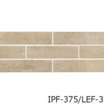 IPF-375_LEF-1