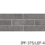 IPF-375_LEF-1