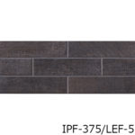 IPF-375_LEF-1