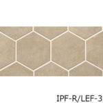 IPF-R_LEF-1