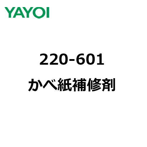 yayoi-220-601