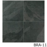 DTL-600_BRA-1