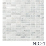 DTL-1230P1_NIC