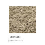 Tori-teikei-140200