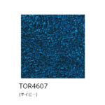 Tori-teikei-140200