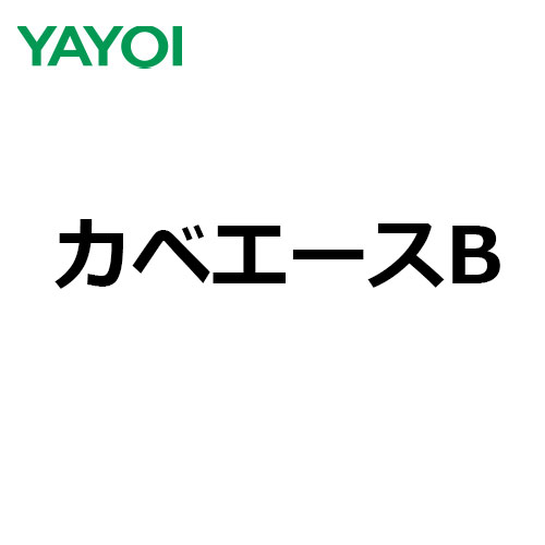 yayoi-kabeace40