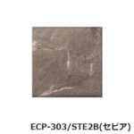 ECP-303_STE