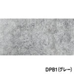 ECP-615-DPB