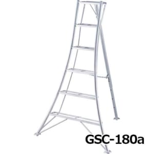 hasegawa-GSC-180-270