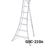 hasegawa-GSC-180-270