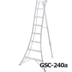 hasegawa-GSC-180-270
