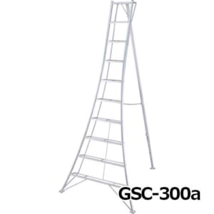 hasegawa-GSC-300-360