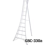 hasegawa-GSC-300-360