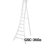hasegawa-GSC-300-360