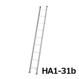 hasegawa-HA1-31-51