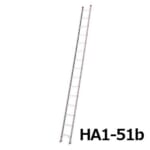hasegawa-HA1-31-51