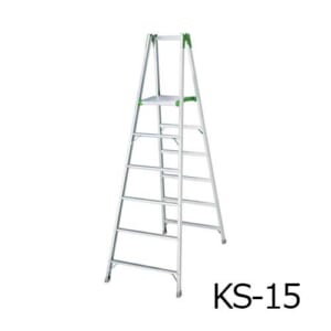 hasegawa-KS
