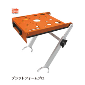 hasegawa-LG-10170