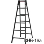 hasegawa-RHB