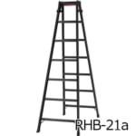 hasegawa-RHB