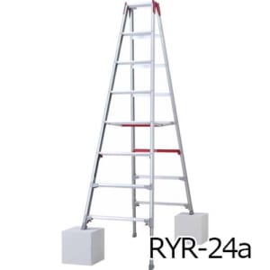 hasegawa-shagaman-RYR24-27
