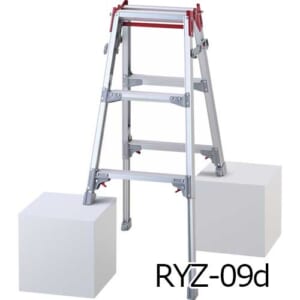 hasegawa-RYZ