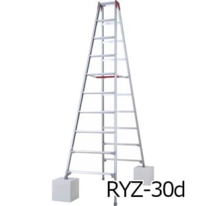 hasegawa-RYZ30