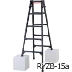 hasegawa-RYZB