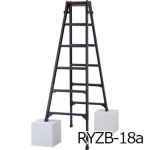 hasegawa-RYZB-18a