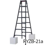hasegawa-RYZB