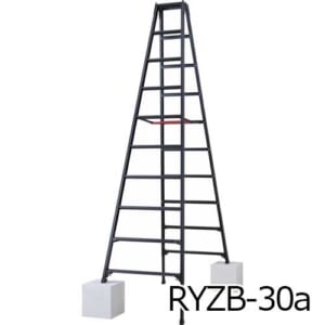hasegawa-RYZB30