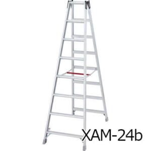 hasegawa-XAM24-27