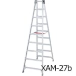 hasegawa-XAM24-27