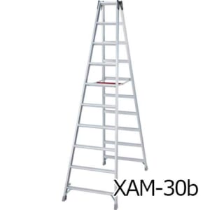 hasegawa-XAM30-42