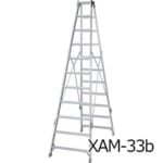 hasegawa-XAM30-42