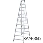 hasegawa-XAM30-42