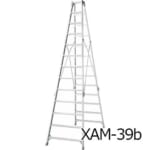 hasegawa-XAM30-42