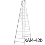 hasegawa-XAM30-42