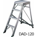 hasegawa-DAD