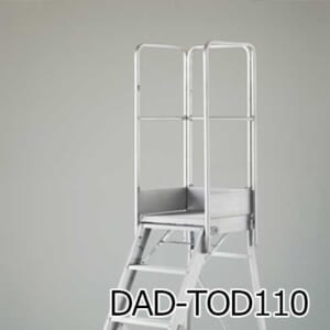 hasegawa-DAD-TOD110