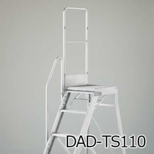 hasegawa-DAD-TS110