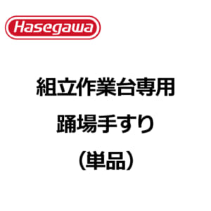 hasegawa-DB-option-06
